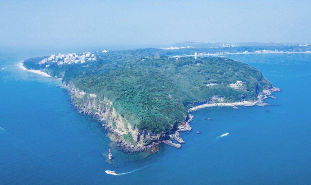 动物帮帮忙保卫家园