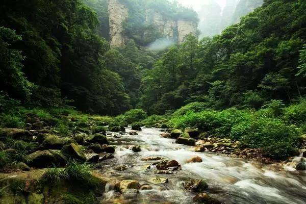 小猫钓鱼开船版最新版下载